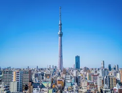 Panoramic Tokyo 1-Day Bus Tour with Bay Cruise